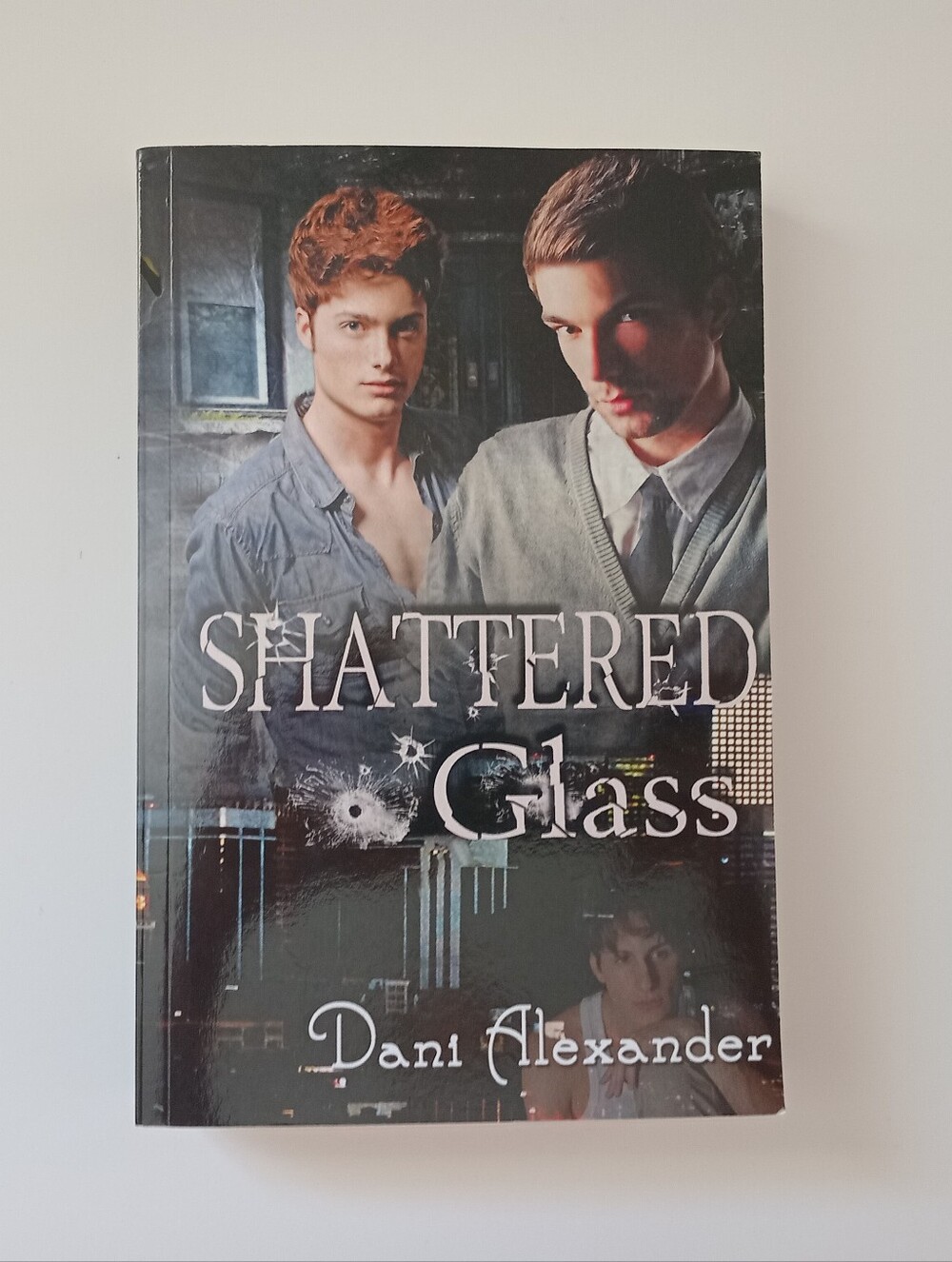 3/$20 Shattered Glass by Dani Alexander 2012 LGBTQ+ M/M Romantic Suspense VG
